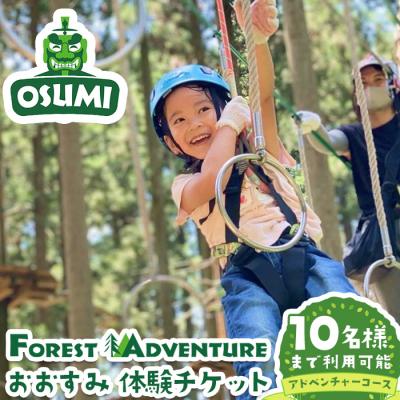 ふるさと納税 曽於市 アドベンチャーコース グループ体験チケット(10名まで利用可)