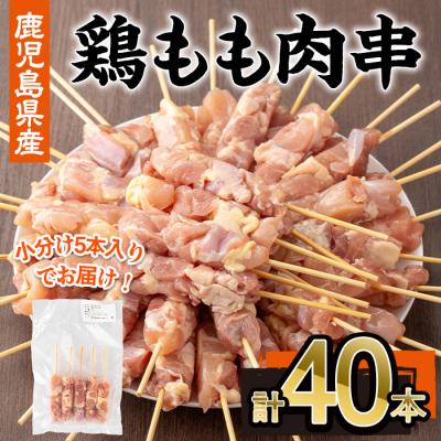 ふるさと納税 曽於市 鹿児島県産鶏もも肉串(計40本・5本×8P)