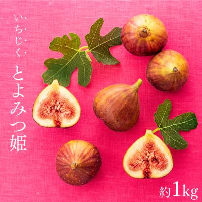 ふるさと納税 新宮町 九州・福岡フルーツ王国より直送.いちじく(とよみつ姫)約1kg/2026年8月〜9月配送