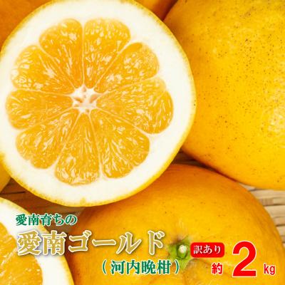 ふるさと納税 愛南町 訳あり 愛南ゴールド 2kg 河内晩柑 先行予約 青果市場