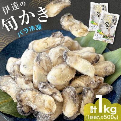 ふるさと納税 石巻市 伊達の旬かき 1kg ( 500g × 2個 ) 加熱用 牡蠣 かき カキ むき身 貝 海鮮
