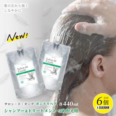 ふるさと納税 四万十市 [3回定期便]サロン・ド・オーデ ボンドリペア シャンプー&amp;トリートメントつめかえ用2点セット