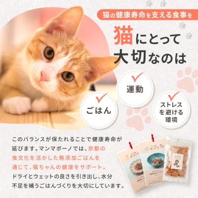 ふるさと納税 京都市 【MANMA BUONO】猫の手作りごはん お試しBセット4種|ペットフード 有名 人気ペットフードの画像
