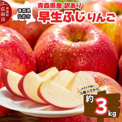 ふるさと納税 弘前市 [25年10月〜発送]りんご[訳あり家庭用]早生ふじ 3kg 青森県産|24_dcp-070301