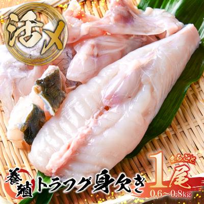 ふるさと納税 江東区 養殖 トラフグ 身欠き[kt058-001]ふぐ ふぐ鍋 てっちり鍋 とらふぐ