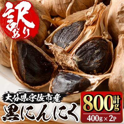 ふるさと納税 宇佐市 活力黒にんにく800g[116600100][シイズンドアグリ]