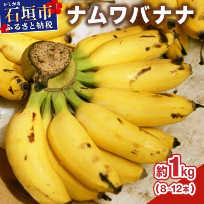 ふるさと納税 石垣市 ≪2026年4〜10月順次発送≫ 石垣島産 ナムワバナナ 約1kg(8-12本)