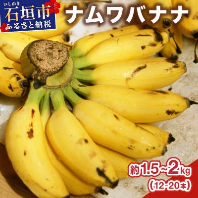 ふるさと納税 石垣市 ≪2026年4〜10月順次発送≫ 石垣島産 ナムワバナナ約1.5-2kg(12-20本)