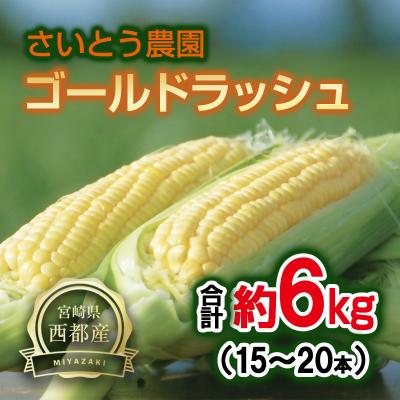 ふるさと納税 西都市 [さいとう農園]朝採れ! スイートコーン『ゴールドラッシュ』約6kg[先行受付][2928]