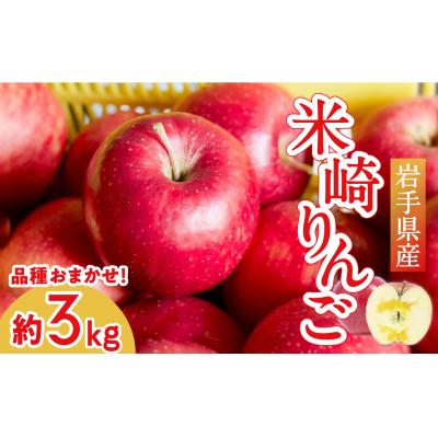 ふるさと納税 陸前高田市 [旬のりんごをお届け!] 米崎りんご 約3kg 品種おまかせ ★大和田果樹園★ 旬 りんご