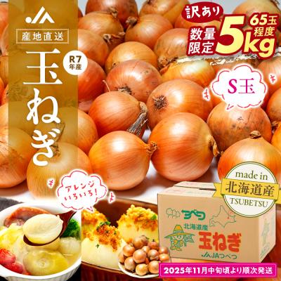 ふるさと納税 津別町 [訳あり]玉ねぎ S玉 5kg | 北海道津別町