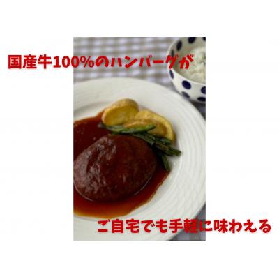 ふるさと納税 阿賀野市 ミートフーズウスイ にこにこセット レストランハンバーグ2個と煮込みハンバーグ2個セット