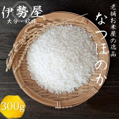 ふるさと納税 玖珠町 [令和7年産 新米][お試しパック 精白米 2合入][大分県玖珠産 なつほのか]