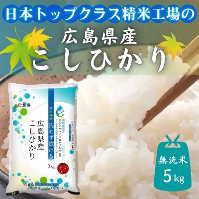 ふるさと納税 東広島市 広島県産米 コシヒカリ 無洗米 5kg