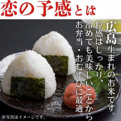 ふるさと納税 東広島市 令和7年産　東広島市産米　恋の予感　無洗米　10kg_1