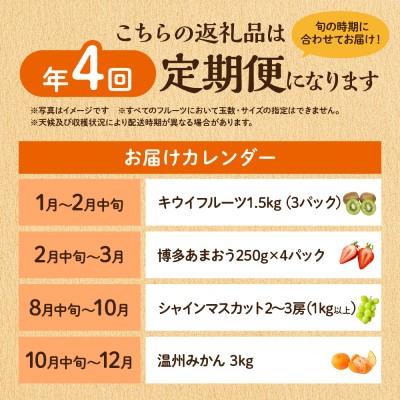 ふるさと納税 宗像市 【定期便/年4回】JAむなかた厳選!人気のフルーツ定期便【ほたるの里】_AM0140-00 |  | 01