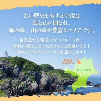 ふるさと納税 宗像市 【定期便/年4回】JAむなかた厳選!人気のフルーツ定期便【ほたるの里】_AM0140-00 |  | 03