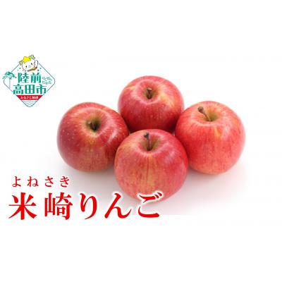 ふるさと納税 陸前高田市 先行受付 旬のりんご 約2.5kg 品種 ふじ 米崎りんご マルキヨファーム