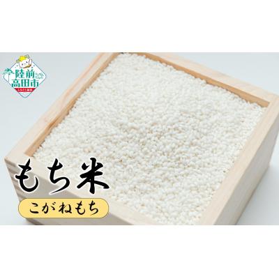 ふるさと納税 陸前高田市 陸前高田市産 もち米 2kg 品種:こがねもち マルキヨファーム 餅 おはぎ お雑煮