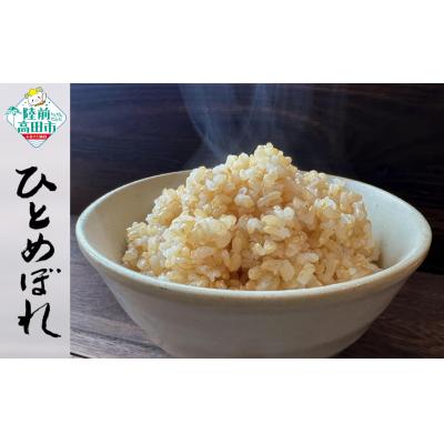 ふるさと納税 陸前高田市 ★新米★ 令和7年産 ひとめぼれ 5kg 玄米 米 おにぎり お弁当