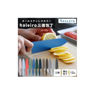 ふるさと納税 春日井市 [ブルーベリー]オールステンレスのカラー包丁「haleiro(ハレイロ)」サントク