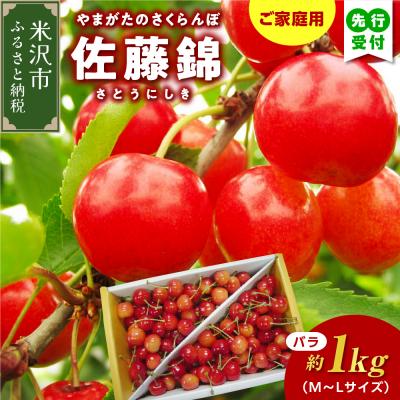 ふるさと納税 米沢市 [先行受付]令和8年産 家庭用 訳あり さくらんぼ 佐藤錦 バラ詰め 1kg