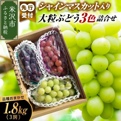 ふるさと納税 米沢市 [先行受付]令和8年産 シャインマスカット入り 3色大粒ぶどう詰合せ 1.8kg(3房)