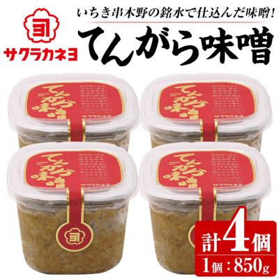 ふるさと納税 いちき串木野市 てんがら味噌セット(850g×4個)