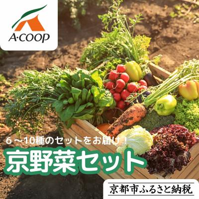 ふるさと納税 京都市 [エーコープ京都中央]おまかせ京野菜セット