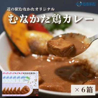 ふるさと納税 宗像市 むなかた鶏カレー 6個セット[道の駅むなかた]