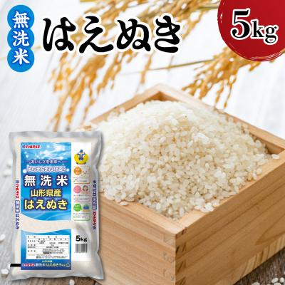 ふるさと納税 米沢市 令和7年産 山形県産 はえぬき 無洗米 5kg