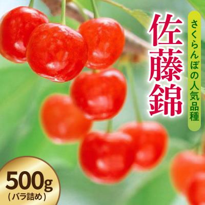 ふるさと納税 米沢市 [先行予約] 令和8年産 さくらんぼ 佐藤錦 500g ( バラ詰め )