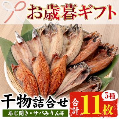 ふるさと納税 いちき串木野市 [令和7年お歳暮対応]サバ・アジ・カマスのひもの詰合せセット5種11枚