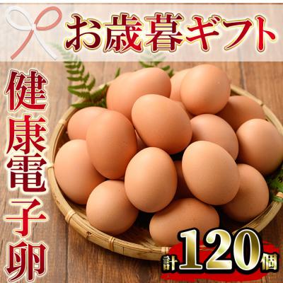 ふるさと納税 いちき串木野市 [令和7年お歳暮対応]鹿児島県産! 健康電子卵 赤卵 Lサイズ 計120個 (10個入り×12P)