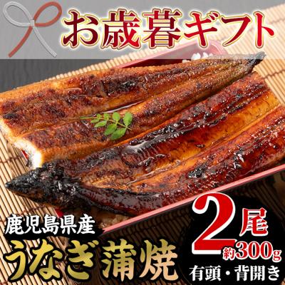ふるさと納税 いちき串木野市 [令和7年お歳暮対応]厳選! 国産うなぎ蒲焼2尾(約300g) 鹿児島県産