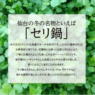 ふるさと納税 名取市 【期間限定】根付き仙台セリ鍋出汁セット(500g)4〜5人前|21_lft-280501 |  | 01