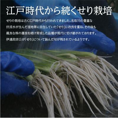 ふるさと納税 名取市 【期間限定】根付き仙台セリ鍋出汁セット(500g)4〜5人前|21_lft-280501 |  | 03
