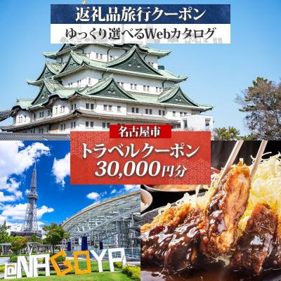 ふるさと納税 名古屋市 名古屋市 後から選べる旅行Webカタログで使える! 旅行クーポン(30,000円分)