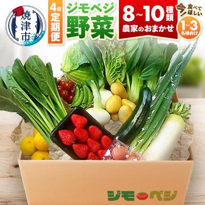 ふるさと納税 焼津市 【定期便 全4回】ジモベジ 野菜 セット(a40-103