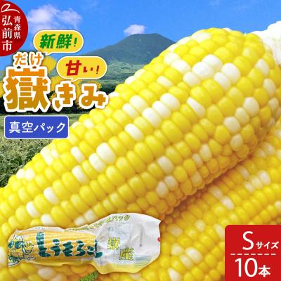 ふるさと納税 弘前市 嶽きみ真空パック Sサイズ 10本|24_skl-011001b