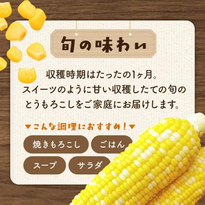 ふるさと納税 弘前市 【26年10月中旬〜発送】嶽きみ真空パック Sサイズ