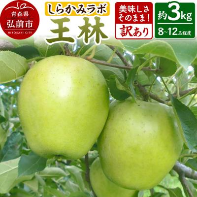 ふるさと納税 弘前市 [25年12月〜発送]りんご 王林[訳あり]3kg|24_skl-060301