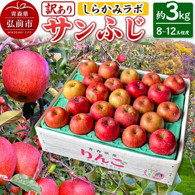 ふるさと納税 弘前市 [25年12月〜発送]りんご サンふじ[訳あり]約3kg|24_skl-080301