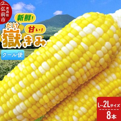 ふるさと納税 弘前市 [26年8月下旬〜クール便発送]嶽きみ[先行受付]L〜2L 8本|24_skl-020801