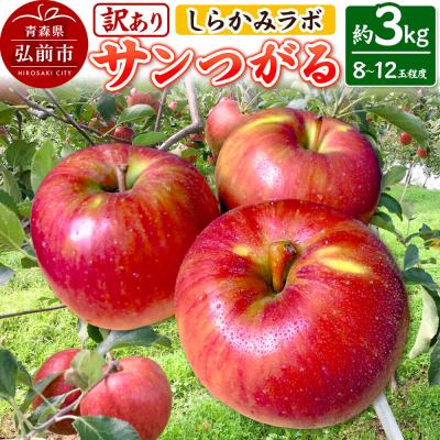 ふるさと納税 弘前市 [26年9月クール便発送]りんご サンつがる[訳あり]約3kg|24_skl-030301