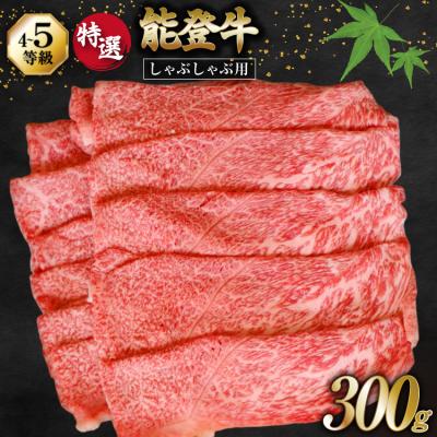 ふるさと納税 宝達志水町 牛肉 能登牛 特選 (4〜5等級) しゃぶしゃぶ用 300g 肩 もも肉 