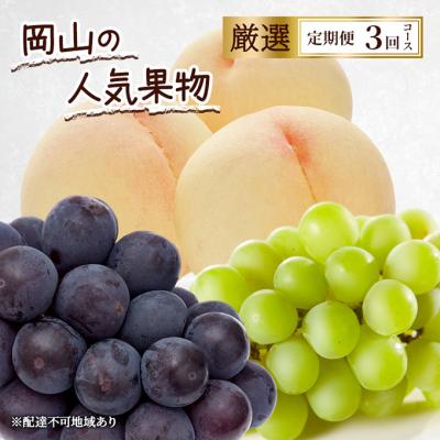 ふるさと納税 赤磐市 定期便 2026年 先行予約 岡山の人気果物 厳選 3回コース [NO5765-1348]