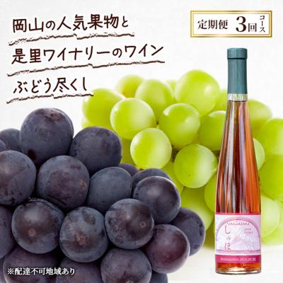 ふるさと納税 赤磐市 定期便 2026年 先行予約 果物と是里ワイナリーのワイン 3回コース [NO5765-1349]