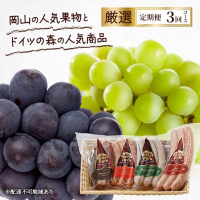 ふるさと納税 赤磐市 定期便 2026年 先行予約 人気果物とドイツの森の人気商品 3回コース [NO5765-1351]