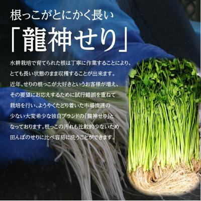 ふるさと納税 名取市 【期間限定】根が魅力の仙台龍神せり鍋出汁セット(400g)3〜4人前|21_lft-290401 |  | 03